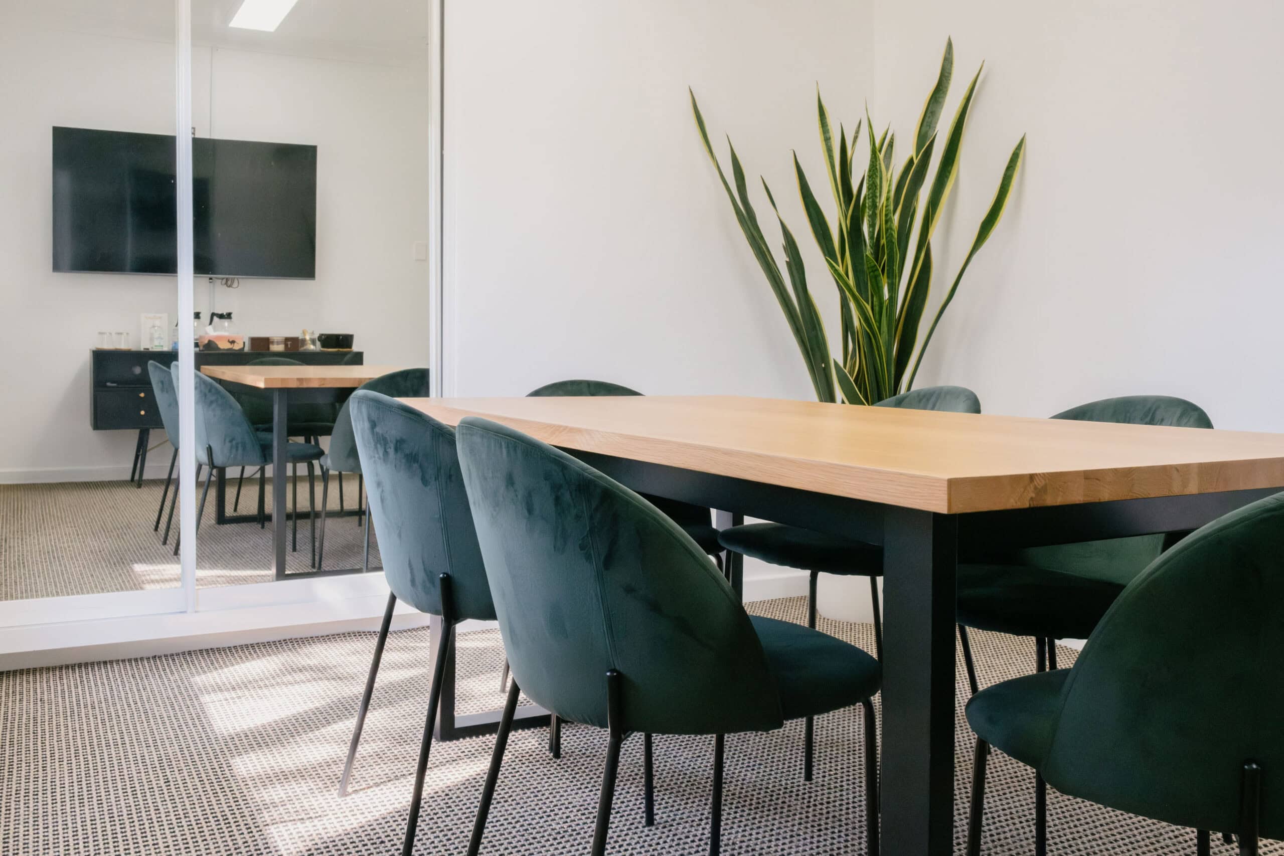 DSCF1700-Enhanced-NR